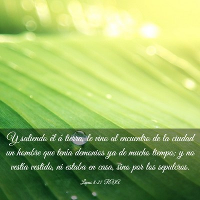 Picture 03 - Lucas 8:27 RVA - Y saliendo él á tierra, le vino al encuentro de - Bible Verse Picture