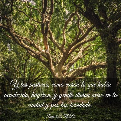 Picture 03 - Lucas 8:34 RVA - Y los pastores, como vieron lo que había - Bible Verse Picture