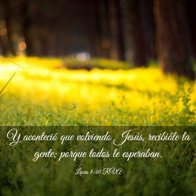 Picture 03 - Lucas 8:40 RVA - Y aconteció que volviendo Jesús, recibióle la - Bible Verse Picture