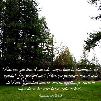 Picture 03 - Malaquías 2:15 RVA - Pues qué ¿no hizo él uno solo aunque tenía la - Bible Verse Picture