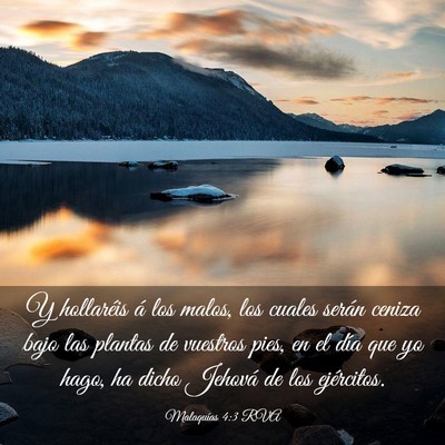 Picture 03 - Malaquías 4:3 RVA - Y hollaréis á los malos, los cuales serán - Bible Verse Picture