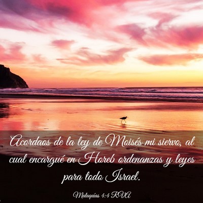 Picture 03 - Malaquías 4:4 RVA - Acordaos de la ley de Moisés mi siervo, al cual - Bible Verse Picture