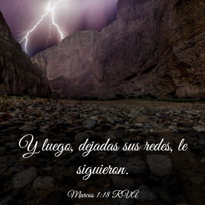 Picture 03 - Marcos 1:18 RVA - Y luego, dejadas sus redes, le - Bible Verse Picture