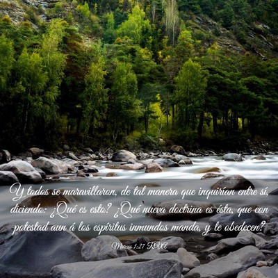 Picture 03 - Marcos 1:27 RVA - Y todos se maravillaron, de tal manera que - Bible Verse Picture