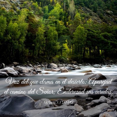 Picture 03 - Marcos 1:3 RVA - Voz del que clama en el desierto: Aparejad el - Bible Verse Picture