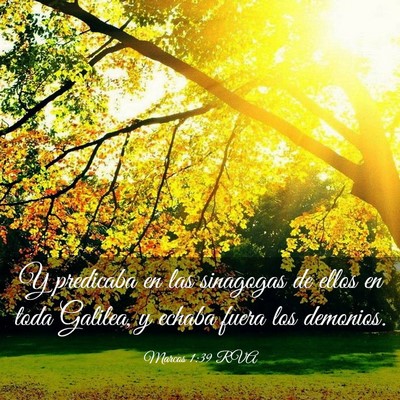 Picture 03 - Marcos 1:39 RVA - Y predicaba en las sinagogas de ellos en toda - Bible Verse Picture