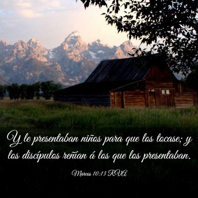 Picture 03 - Marcos 10:13 RVA - Y le presentaban niños para que los tocase; y - Bible Verse Picture