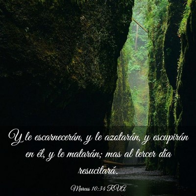 Picture 03 - Marcos 10:34 RVA - Y le escarnecerán, y le azotarán, y escupirán - Bible Verse Picture