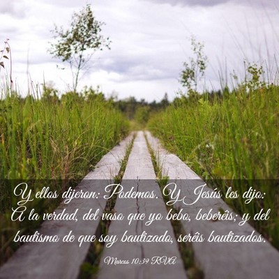 Picture 03 - Marcos 10:39 RVA - Y ellos dijeron: Podemos. Y Jesús les dijo: A la - Bible Verse Picture