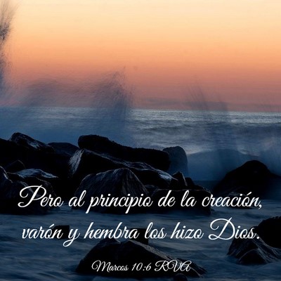 Picture 03 - Marcos 10:6 RVA - Pero al principio de la creación, varón y - Bible Verse Picture