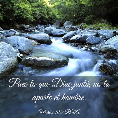 Picture 03 - Marcos 10:9 RVA - Pues lo que Dios juntó, no lo aparte el - Bible Verse Picture