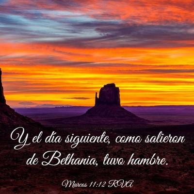 Picture 03 - Marcos 11:12 RVA - Y el día siguiente, como salieron de Bethania, - Bible Verse Picture