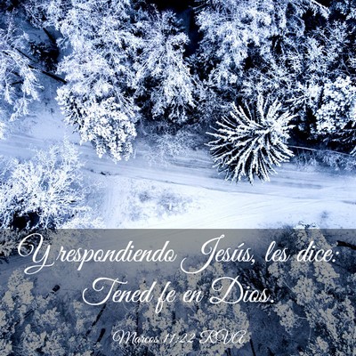 Picture 03 - Marcos 11:22 RVA - Y respondiendo Jesús, les dice: Tened fe en - Bible Verse Picture