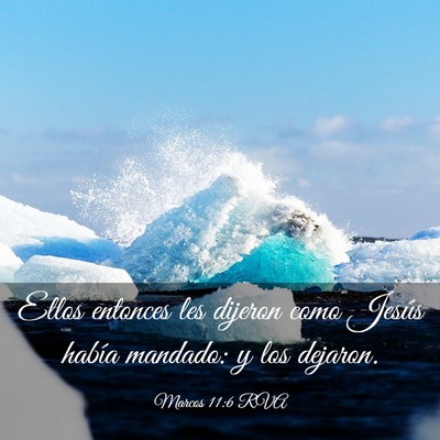 Picture 03 - Marcos 11:6 RVA - Ellos entonces les dijeron como Jesús había - Bible Verse Picture
