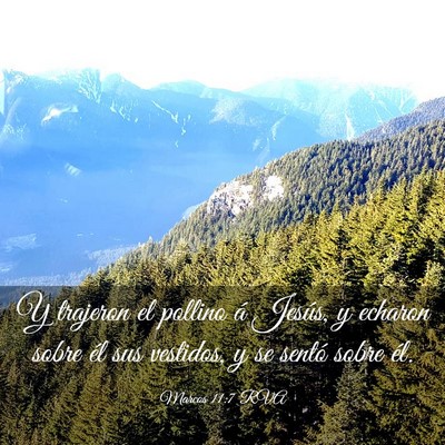 Picture 03 - Marcos 11:7 RVA - Y trajeron el pollino á Jesús, y echaron sobre - Bible Verse Picture