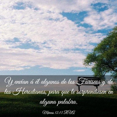 Picture 03 - Marcos 12:13 RVA - Y envían á él algunos de los Fariseos y de los - Bible Verse Picture