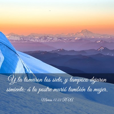 Picture 03 - Marcos 12:22 RVA - Y la tomaron los siete, y tampoco dejaron - Bible Verse Picture