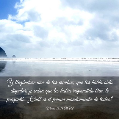 Picture 03 - Marcos 12:28 RVA - Y llegándose uno de los escribas, que los había - Bible Verse Picture