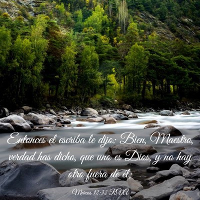 Picture 03 - Marcos 12:32 RVA - Entonces el escriba le dijo: Bien, Maestro, - Bible Verse Picture
