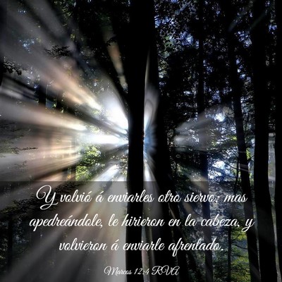 Picture 03 - Marcos 12:4 RVA - Y volvió á enviarles otro siervo; mas - Bible Verse Picture