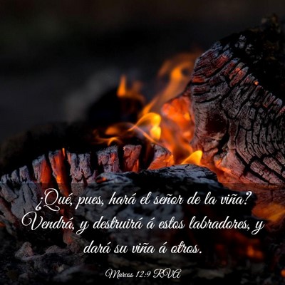 Picture 03 - Marcos 12:9 RVA - ¿Qué, pues, hará el señor de la viña? - Bible Verse Picture