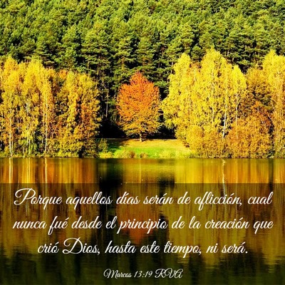 Picture 03 - Marcos 13:19 RVA - Porque aquellos días serán de aflicción, cual - Bible Verse Picture