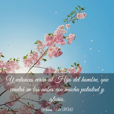 Picture 03 - Marcos 13:26 RVA - Y entonces verán al Hijo del hombre, que vendrá - Bible Verse Picture