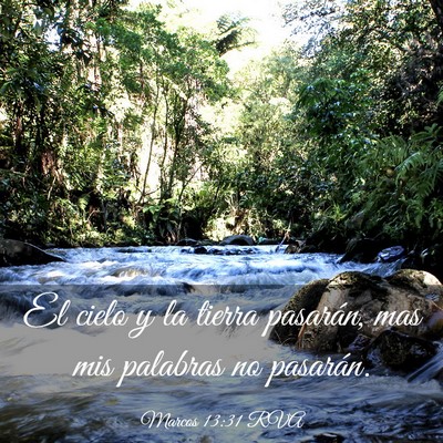 Picture 03 - Marcos 13:31 RVA - El cielo y la tierra pasarán, mas mis palabras - Bible Verse Picture