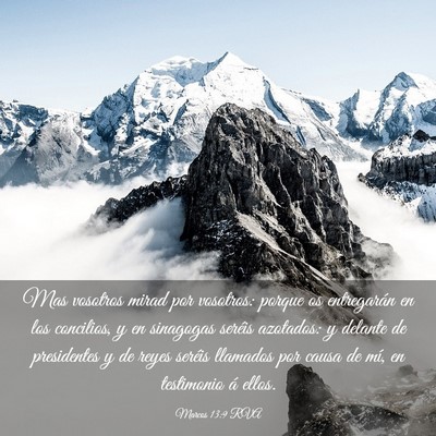 Picture 03 - Marcos 13:9 RVA - Mas vosotros mirad por vosotros: porque os - Bible Verse Picture