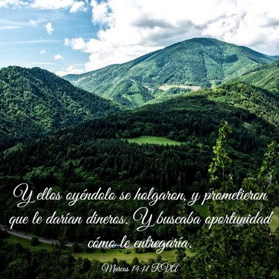 Picture 03 - Marcos 14:11 RVA - Y ellos oyéndolo se holgaron, y prometieron que - Bible Verse Picture