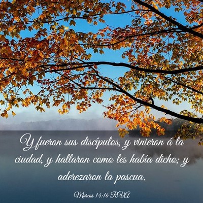 Picture 03 - Marcos 14:16 RVA - Y fueron sus discípulos, y vinieron á la - Bible Verse Picture