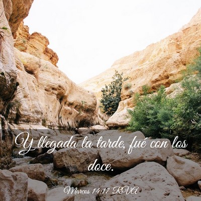 Picture 03 - Marcos 14:17 RVA - Y llegada la tarde, fué con los - Bible Verse Picture