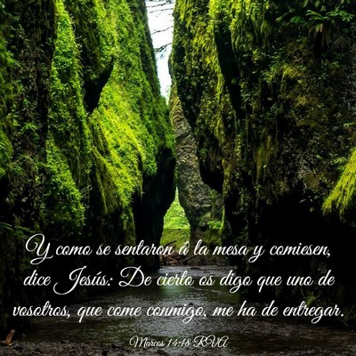 Picture 03 - Marcos 14:18 RVA - Y como se sentaron á la mesa y comiesen, dice - Bible Verse Picture