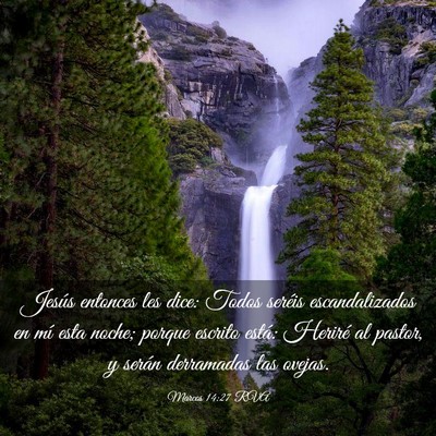 Picture 03 - Marcos 14:27 RVA - Jesús entonces les dice: Todos seréis - Bible Verse Picture