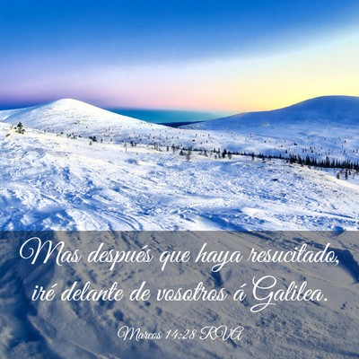 Picture 03 - Marcos 14:28 RVA - Mas después que haya resucitado, iré delante de - Bible Verse Picture