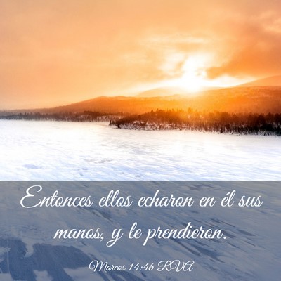 Picture 03 - Marcos 14:46 RVA - Entonces ellos echaron en él sus manos, y le - Bible Verse Picture