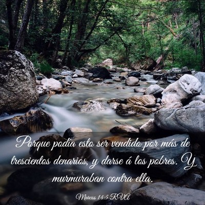 Picture 03 - Marcos 14:5 RVA - Porque podía esto ser vendido por más de - Bible Verse Picture
