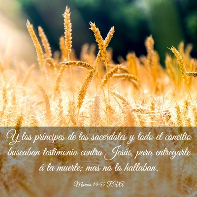 Picture 03 - Marcos 14:55 RVA - Y los príncipes de los sacerdotes y todo el - Bible Verse Picture