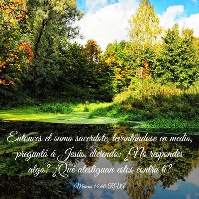 Picture 03 - Marcos 14:60 RVA - Entonces el sumo sacerdote, levantándose en - Bible Verse Picture
