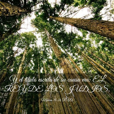 Picture 03 - Marcos 15:26 RVA - Y el título escrito de su causa era: EL REY DE - Bible Verse Picture