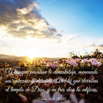 Picture 03 - Marcos 15:29 RVA - Y los que pasaban le denostaban, meneando sus - Bible Verse Picture
