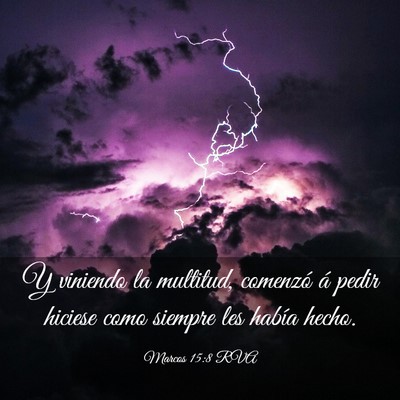 Picture 03 - Marcos 15:8 RVA - Y viniendo la multitud, comenzó á pedir hiciese - Bible Verse Picture