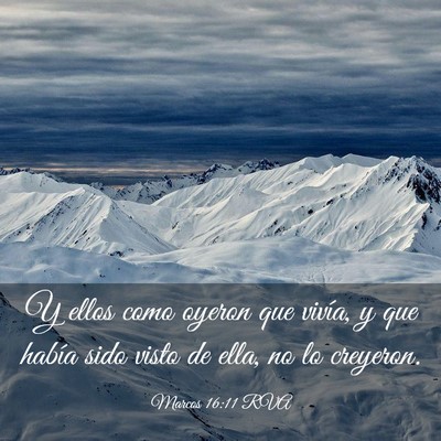 Picture 03 - Marcos 16:11 RVA - Y ellos como oyeron que vivía, y que había sido - Bible Verse Picture