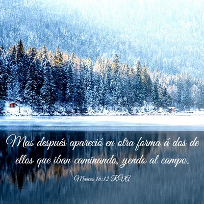 Picture 03 - Marcos 16:12 RVA - Mas después apareció en otra forma á dos de - Bible Verse Picture