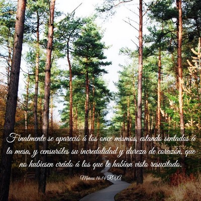 Picture 03 - Marcos 16:14 RVA - Finalmente se apareció á los once mismos, - Bible Verse Picture