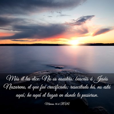 Picture 03 - Marcos 16:6 RVA - Más él les dice: No os asustéis: buscáis á - Bible Verse Picture