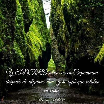Picture 03 - Marcos 2:1 RVA - Y ENTRO otra vez en Capernaum después de algunos - Bible Verse Picture