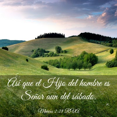 Picture 03 - Marcos 2:28 RVA - Así que el Hijo del hombre es Señor aun del - Bible Verse Picture