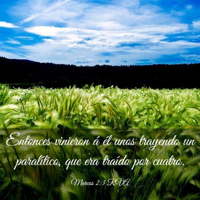 Picture 03 - Marcos 2:3 RVA - Entonces vinieron á él unos trayendo un - Bible Verse Picture