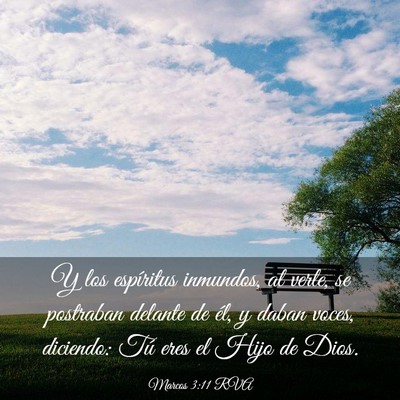 Picture 03 - Marcos 3:11 RVA - Y los espíritus inmundos, al verle, se postraban - Bible Verse Picture